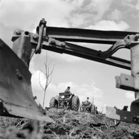 minerva_deak_f_c21_necategorizat2-142