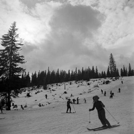 minerva_deak_f_c21_necategorizat3-038