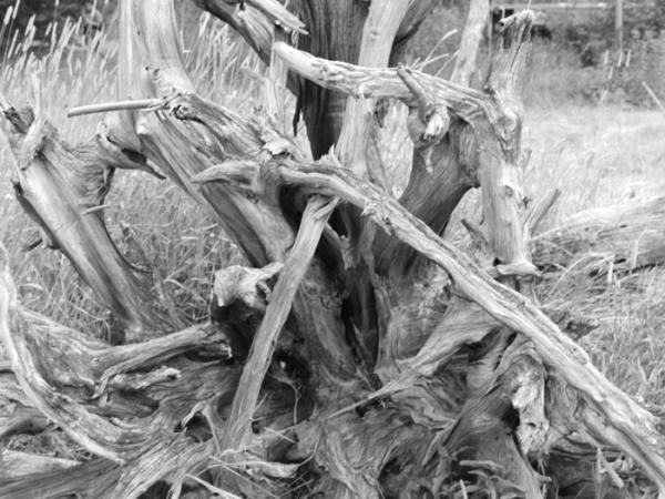 minerva_deak_f_c21_necategorizat3-052