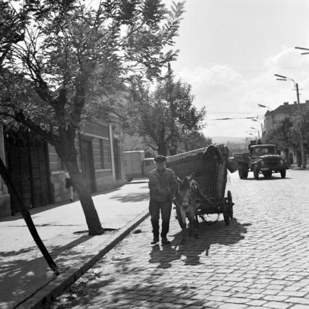 minerva_deak_f_c21_necategorizat4-002