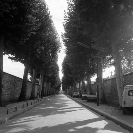 minerva_deak_f_c21_necategorizat4-003