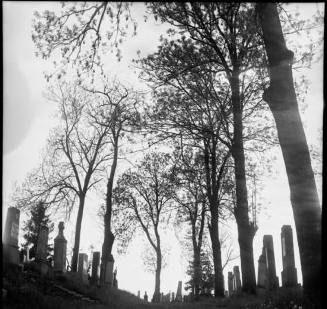 minerva_deak_f_c2_diverse-035