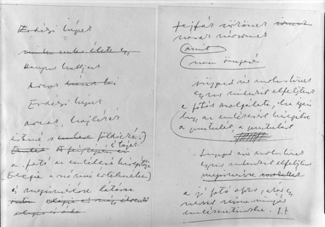 minerva_deak_f_c2_diverse-056