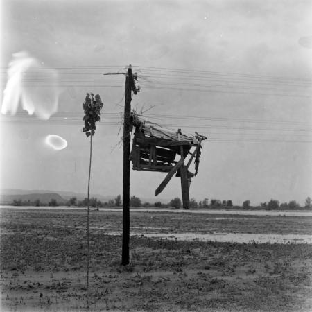 minerva_deak_f_c2_diverse-061