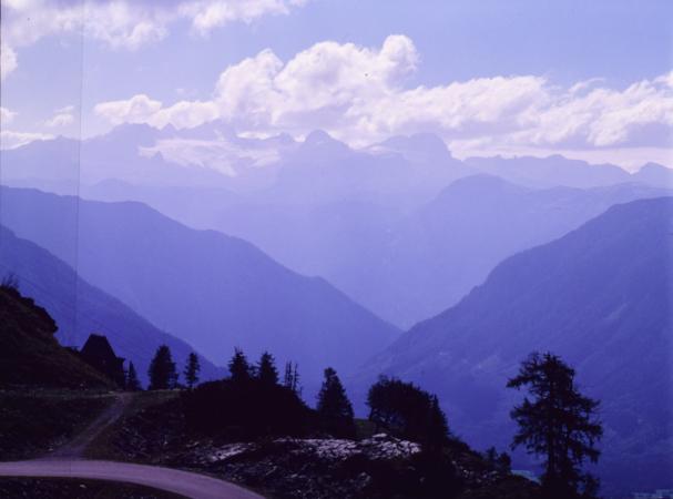 minerva_deak_f_c2_diverse-072