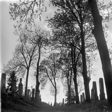 minerva_deak_f_c2_diverse-097