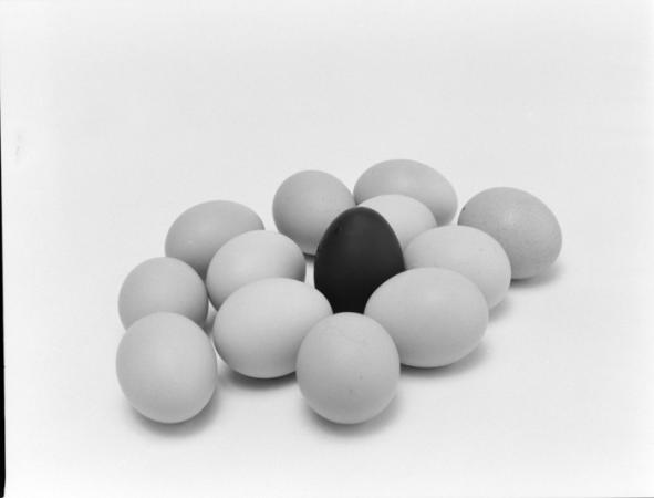 minerva_deak_f_c2_diverse-118