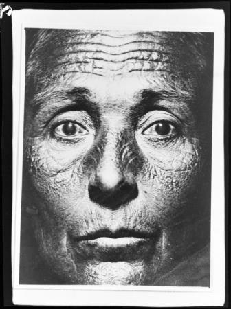 minerva_deak_f_c2_diverse-137