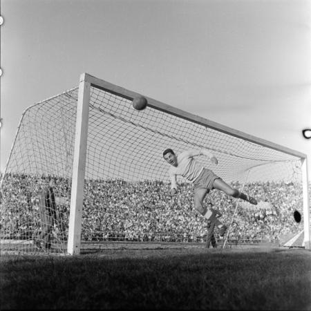 minerva_deak_f_c2_sport-010