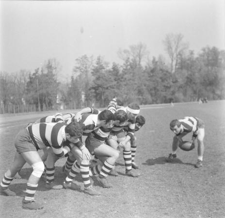 minerva_deak_f_c2_sport-078