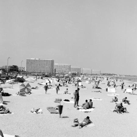 minerva_deak_f_c2_város-218