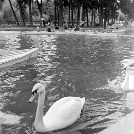 minerva_deak_f_c2_város-314