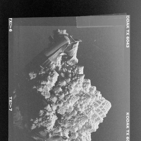 minerva_deak_f_c2_város-359