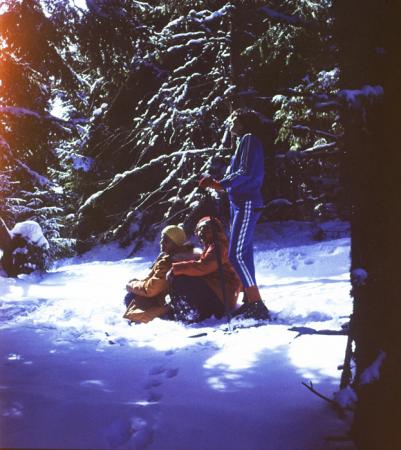 minerva_deak_f_c3_s1_11_erdély-008