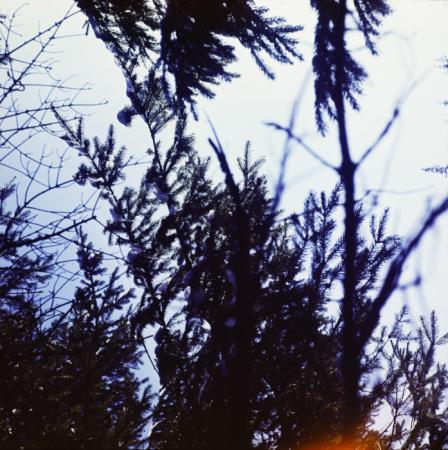 minerva_deak_f_c3_s1_11_erdély-013