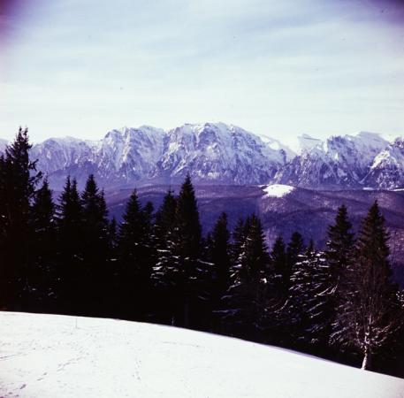 minerva_deak_f_c3_s1_7-008