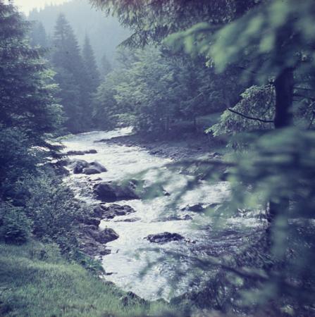 minerva_deak_f_c3_s1_7-009