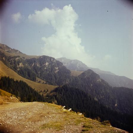 minerva_deak_f_c3_s1_7-011