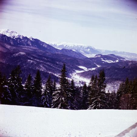 minerva_deak_f_c3_s1_7-012