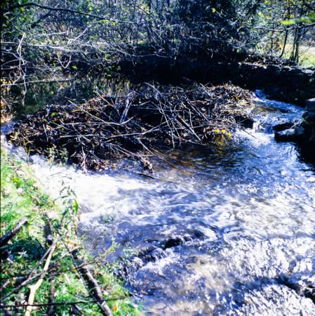 minerva_deak_f_c3_s2_29_1979_oct_keckil-011