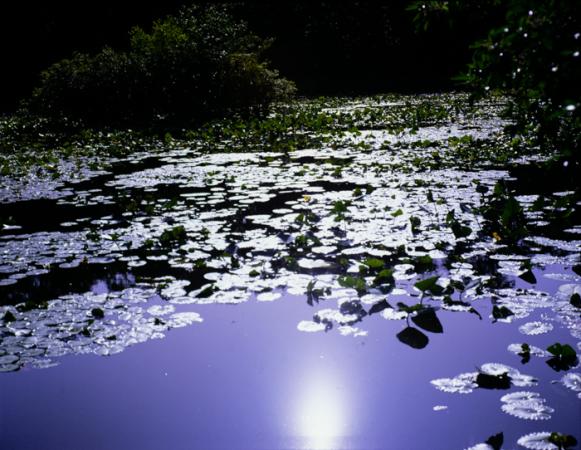 minerva_deak_f_c3_s2_47_1983_jul_4-008