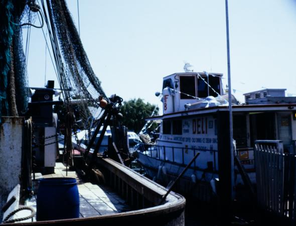 minerva_deak_f_c3_s2_49_1983_aug_freeport-004