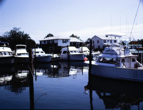 minerva_deak_f_c3_s2_51_1983_aug_freeport-011