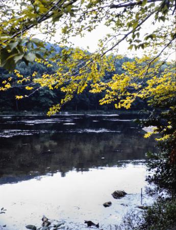 minerva_deak_f_c3_s2_52_1983_aug_bert_mt-008