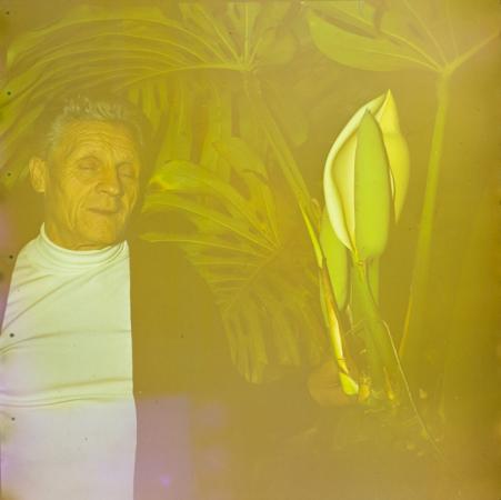 minerva_deak_f_c3_s2_60_vida_géza-001