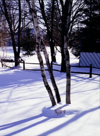 minerva_deak_f_c3_s2_61-001