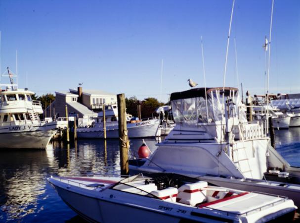 minerva_deak_f_c3_s3_77-007