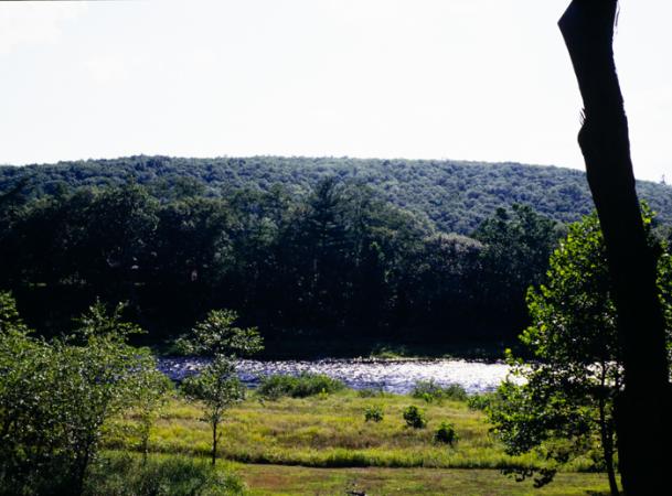 minerva_deak_f_c3_s3_84_1993-002