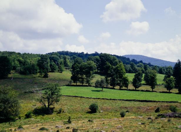 minerva_deak_f_c3_s3_85_1993-005