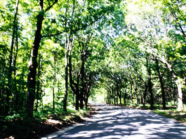 minerva_deak_f_c3_s3_89_1993_lake_george-001