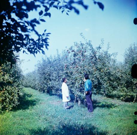 minerva_deak_f_c3_s3_93_román-032