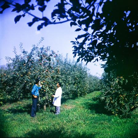 minerva_deak_f_c3_s3_93_román-033