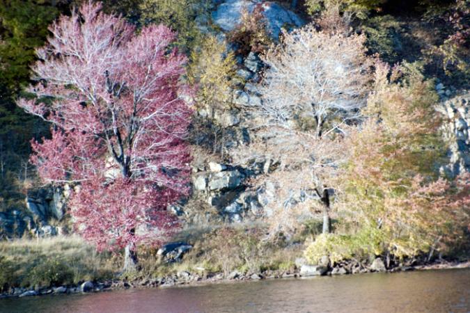 minerva_deak_f_c4_s2_130_1980_dec_samuék_037