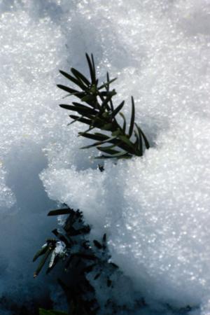 minerva_deak_f_c4_s2_134_1981_lake_lpacid_itthon_001