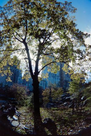 minerva_deak_f_c4_s2_144_1981_manhattan_023