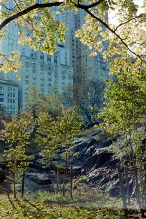 minerva_deak_f_c4_s2_144_1981_manhattan_024