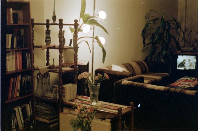 minerva_deak_f_c5_s1_192_color1000_proba-003