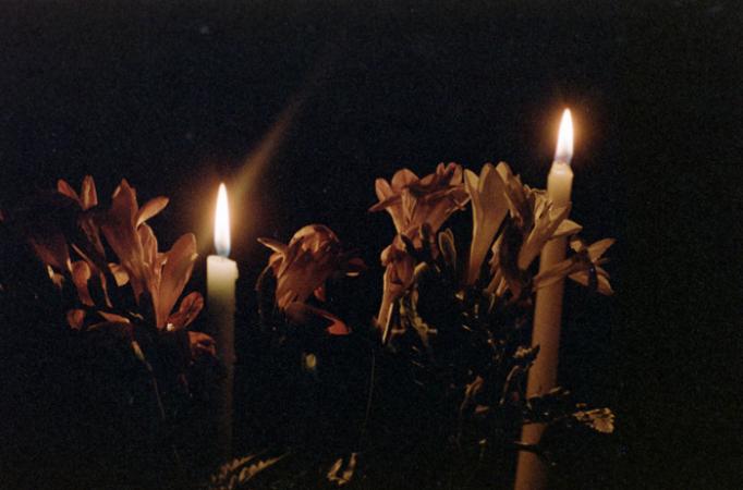 minerva_deak_f_c5_s1_192_color1000_proba-006