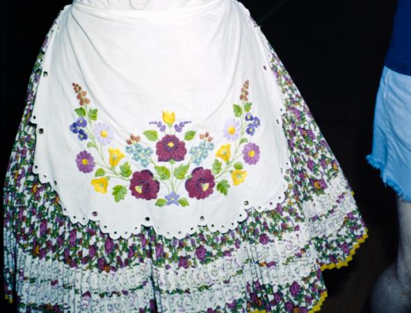 minerva_deak_f_c5_s1_195_madison_hafc_symposion_1982-004