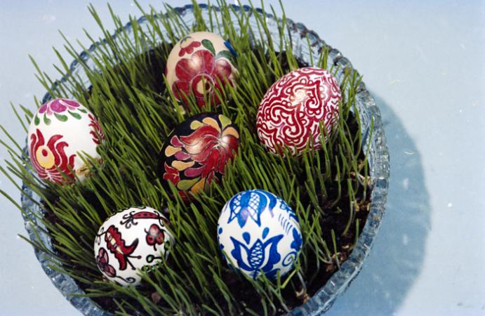 minerva_deak_f_c5_s1_212_tojasok_1984-008