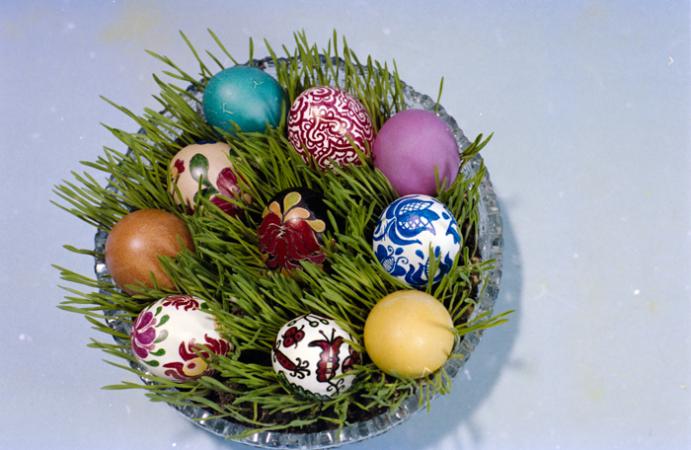 minerva_deak_f_c5_s1_212_tojasok_1984-011