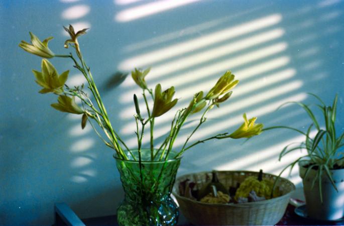 minerva_deak_f_c5_s2_224_ablakbol_gyerek-012