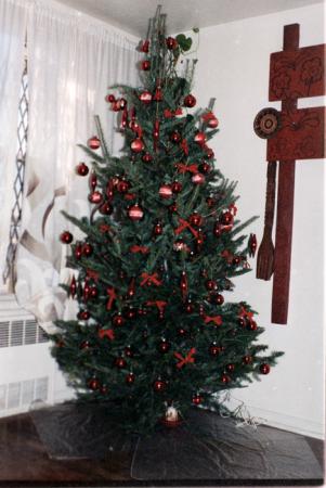 minerva_deak_f_c5_s2_229_karacsony_color_pista_moni-007