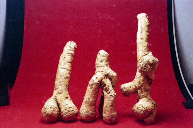 minerva_deak_f_c6_s1_275_1989-004