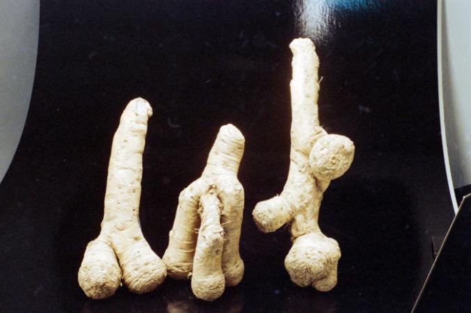 minerva_deak_f_c6_s1_275_1989-012