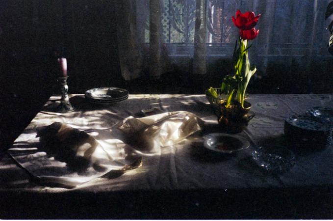 minerva_deak_f_c6_s1_276_regi_teraszunk_saja_klara_1989-002